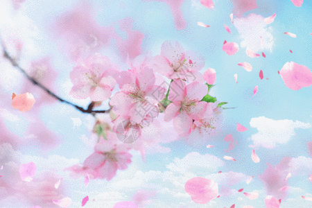 粉色花朵春天浪漫樱花GIF高清图片
