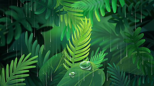 水珠绿叶雨天植物手绘插画