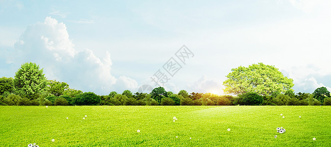 签名树草地天空背景设计图片