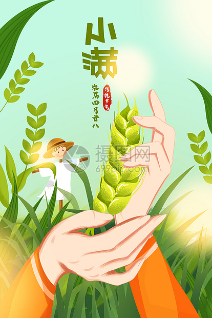 小满节气手绘插画图片