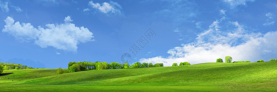 草地天空背景图片