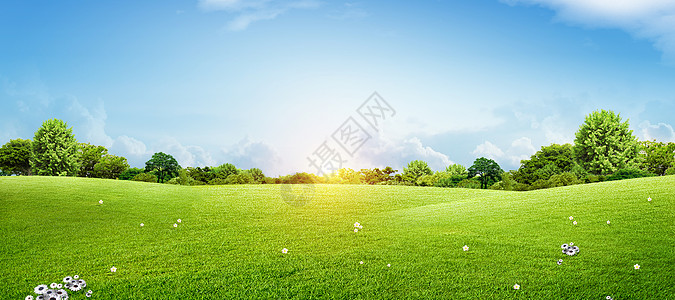 绿草草地天空背景设计图片