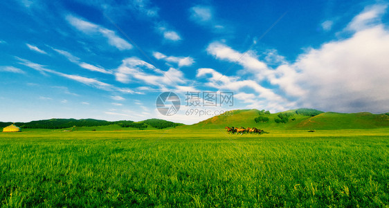 草地天空背景图片