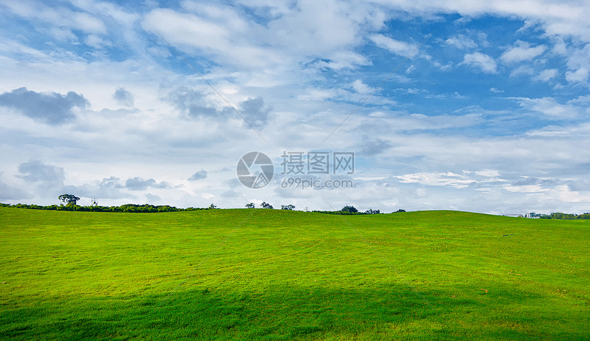 草地天空背景