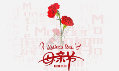 红色康乃馨母亲节简洁促销海报GIF高清图片