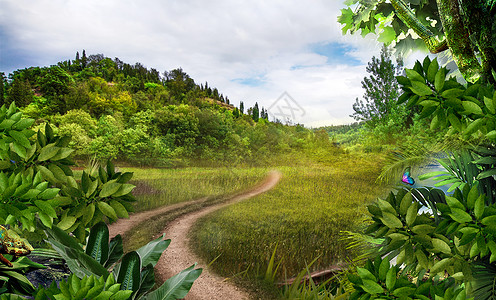 世界旅游日森林合成背景设计图片