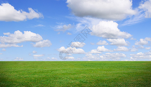 草地天空背景背景图片