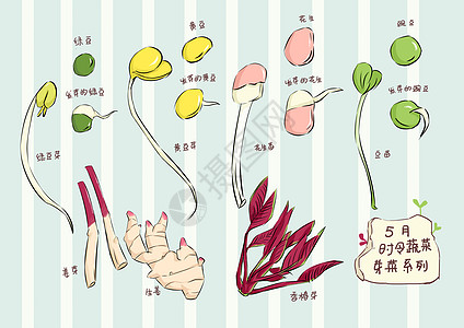 晒黄豆5月时令芽菜类蔬菜插画