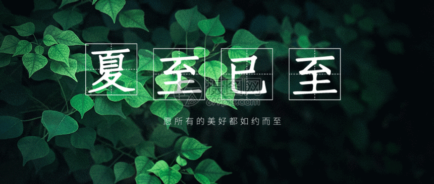 夏至未至微信公众号封面gif