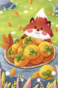 秋天的狐狸与柿子背景图片