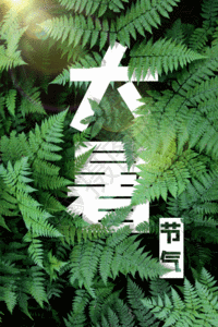 植物大暑字体海报设计GIF高清图片