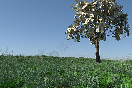 金融树图片