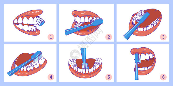 牙刷巴氏刷牙法刷牙步骤插画