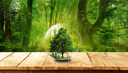 世界森林日绿色环保设计图片