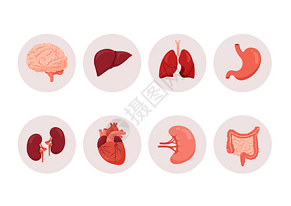 手捧医疗图标医学人体器官合集插画插画