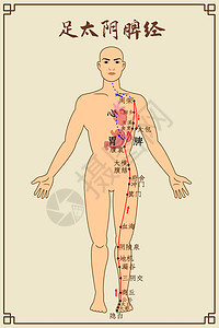 足太阴脾经及穴位图片