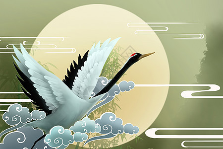 飞翔的白鹤背景插画背景图片