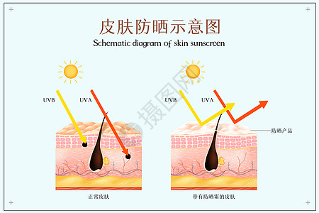 彩妆护肤皮肤防晒示意图插画