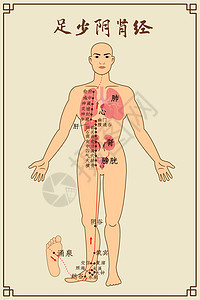 足少阴肾经及穴位图片