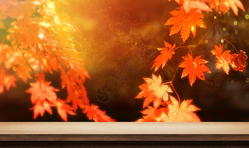 秋天的窗台秋天背景设计图片