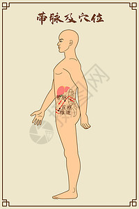 带脉及穴位中医经络图肝脏高清图片素材