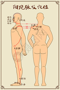 阳跷脉及穴位中医经络图背景图片