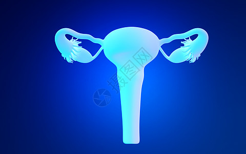 女性卵巢医疗专家高清图片