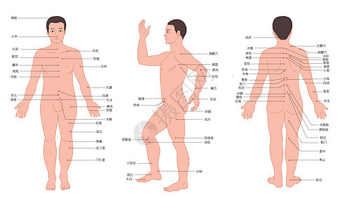 男人人体经络穴位走向图健康高清图片素材