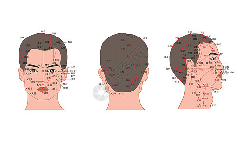 人体头部经络穴位图经脉高清图片素材