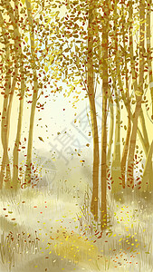 森林里的秋天图片