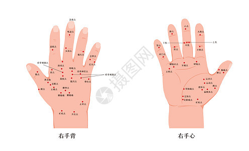 手心手背中医经络穴位图针灸高清图片素材
