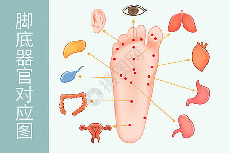 中医穴位脚底器官对应图医疗插画图片
