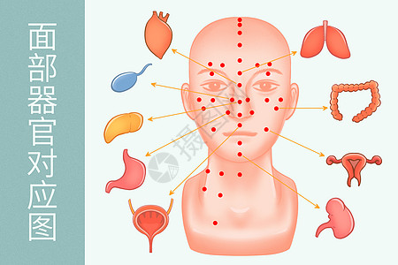 中医穴位面部器官对应图医疗插画图片