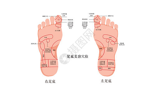 足底美容穴位图图片