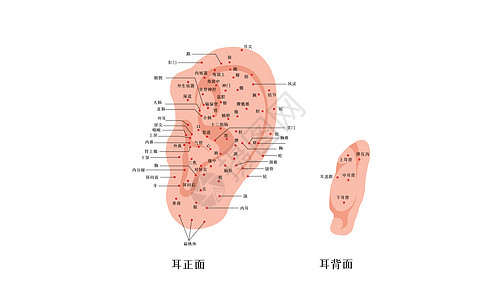 耳朵常用穴位图背景图片