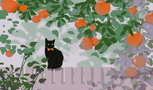 霜降柿子与猫图片
