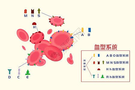 血型系统科普插画图片