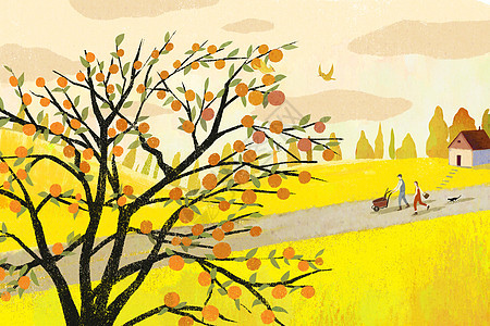 秋天柿子树插画背景图片