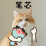 比心笔芯表白爱情猫咪宠物gif动图萌宠表情包宠物gif高清图片素材