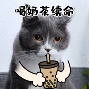 一杯饮料喝奶茶开心饮料下午茶猫咪宠物GIF高清图片