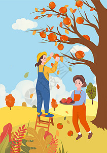 秋天摘柿子插画图片