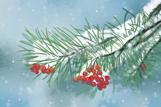 红豆杉小雪插画图片