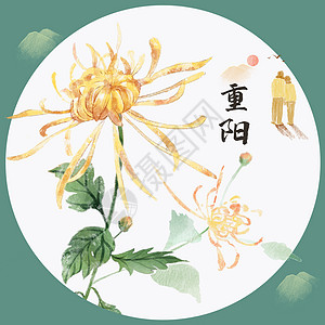 重阳节中国风装饰插画图片