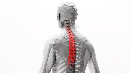 脊椎背痛人体脊椎病场景设计图片