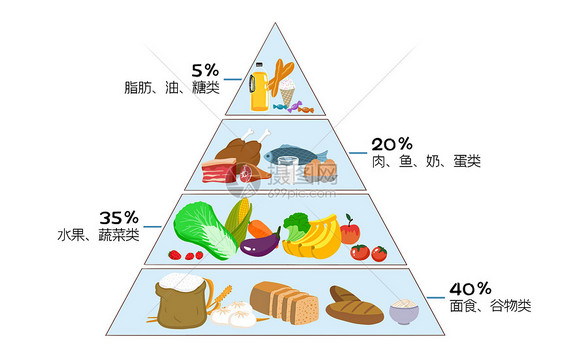 健康饮食金字塔图片