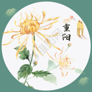 秋天老人重阳节中国风装饰插画GIF高清图片