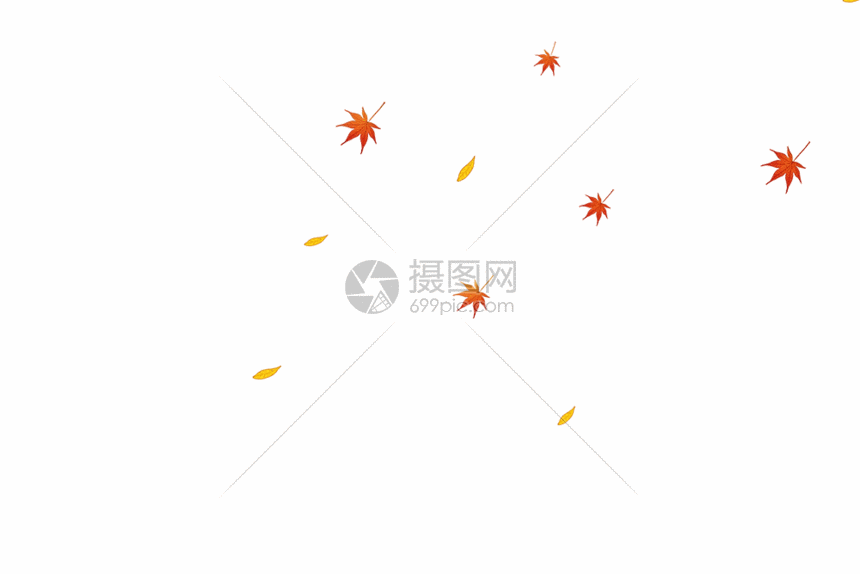 秋天的落叶GIF图片