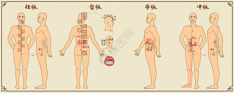 奇经八脉中医经络图一高清图片