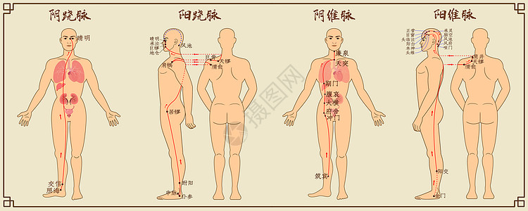 奇经八脉中医经络图二高清图片