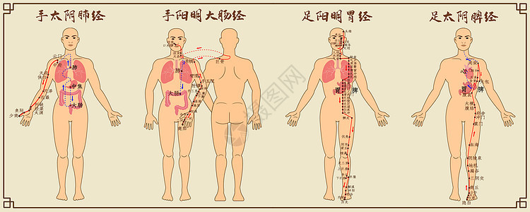 十二经脉中医经络图一大肠经高清图片素材